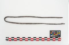 Foto von Eisenklammer (NHMW-PRAE-025089a)